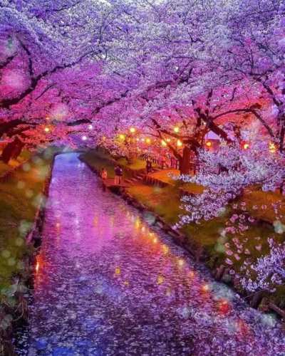 River Aesthetic