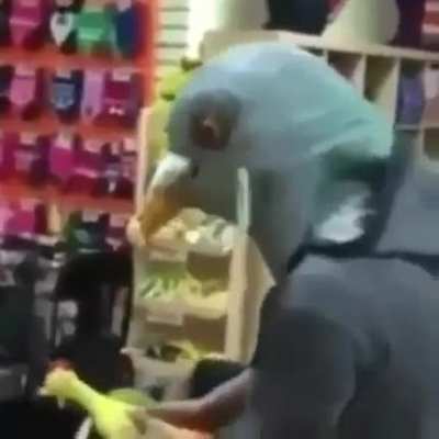 Pqpq