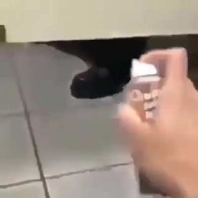 cursed_prank