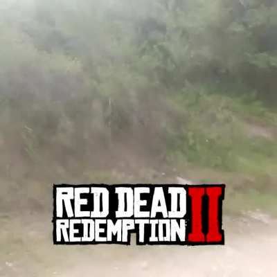 Red Dead Gusti II