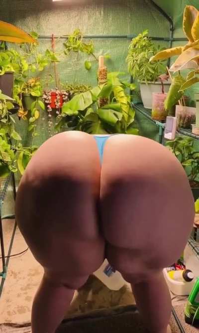 Bootyful Gardening Work pt.3