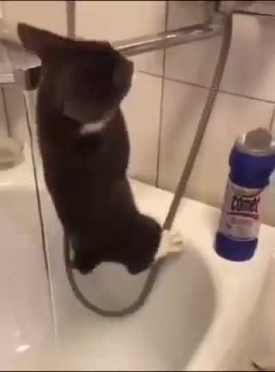 I see a goal, I go to it!