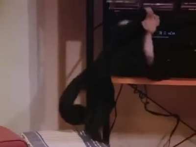 Really hope nobody's done this already, but I haven't seen it so far