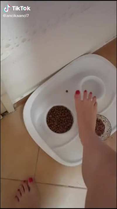 How do you like it?