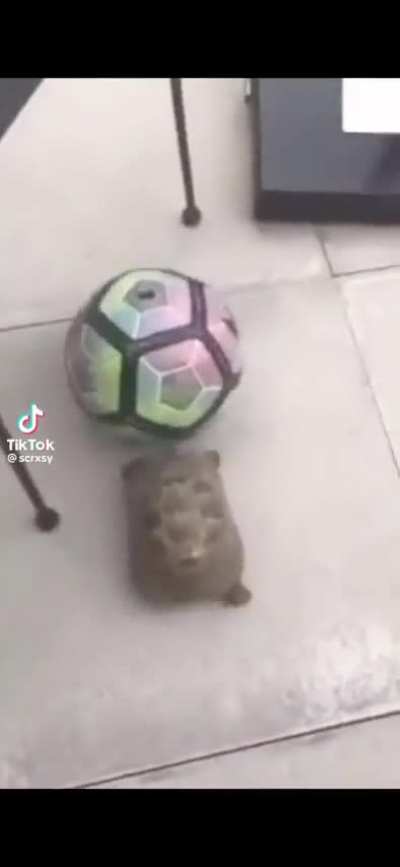 Mbappe 4K