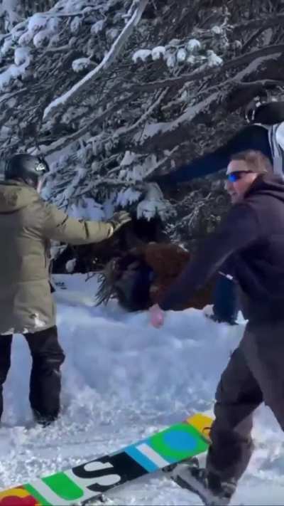 Germans assault Chewbacca in another disturbing incident of xenophobic violence against other world immigrants