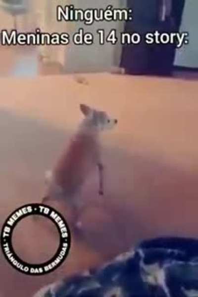 KkKkK