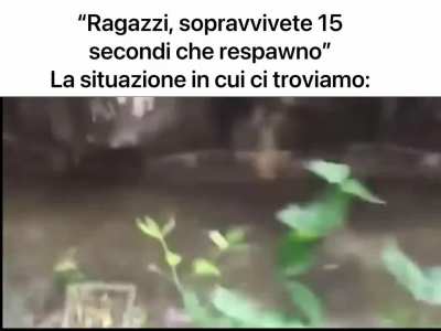 Gameplay 
