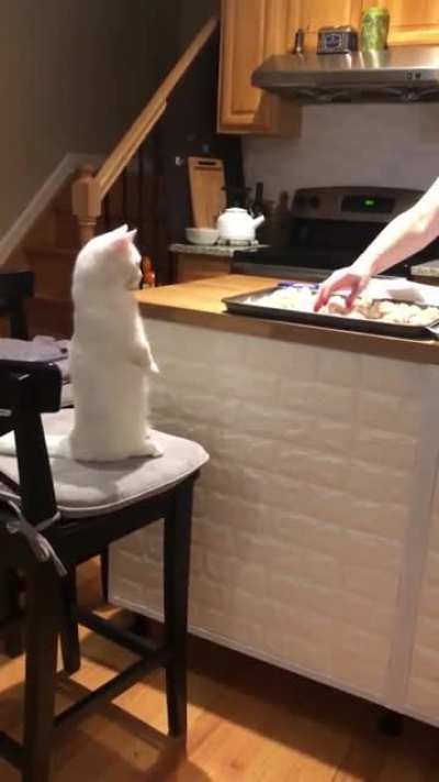 Cookie Supervisor