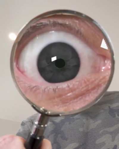 Weirdest video I've ever made