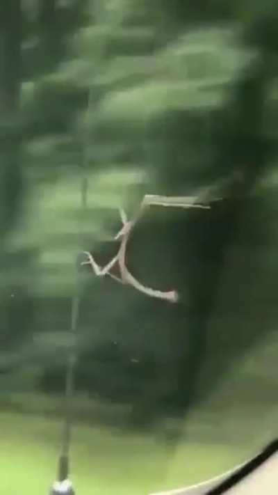Danger Zone……hang in there, Imgurians