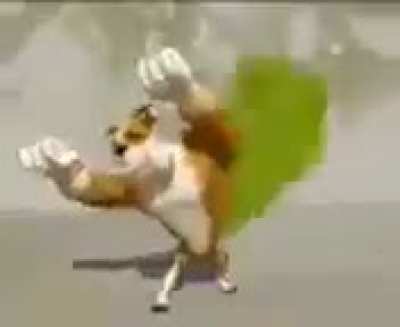 Dog