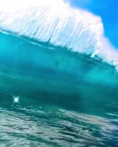 That's some damn clean water