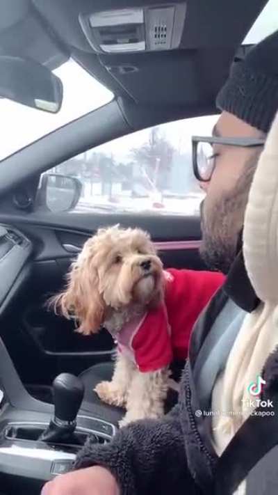 Quietest microbork I&rsquo;ve seen