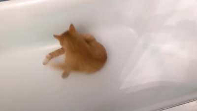 Help! I'm going down the drain!