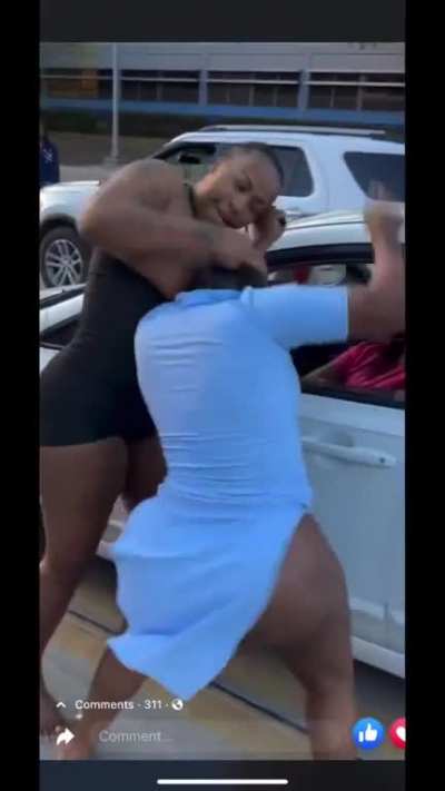 huge booty brawl