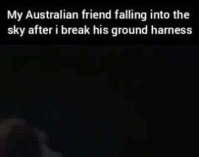 Aussies