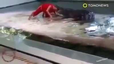 Croc, monsieur!