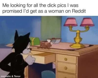 Where are they?