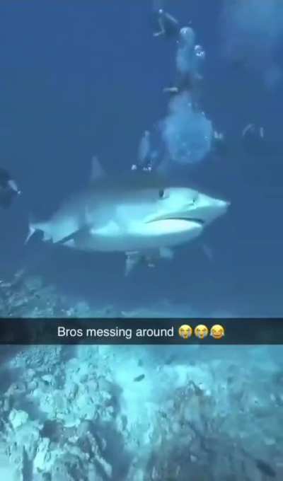 Bros messing around 