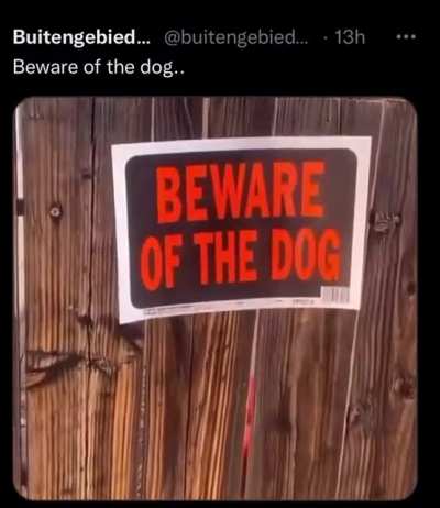 Hey Doggy Chill