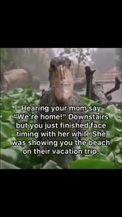 You&rsquo;d seen the memes, but you never thought it would happen to you. Stuck, contemplating your next move, your heart begins to speed up as your hear footsteps coming up the stairs. They don&rsquo;t match the sounds of your mother&rsquo;s&hellip;or anything bipedal&hellip;