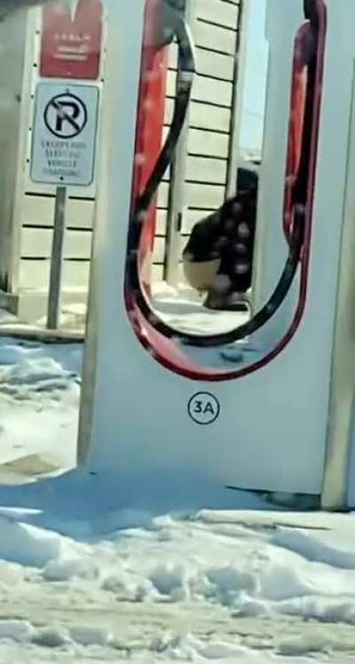 When you gotta go.. you gotta go!