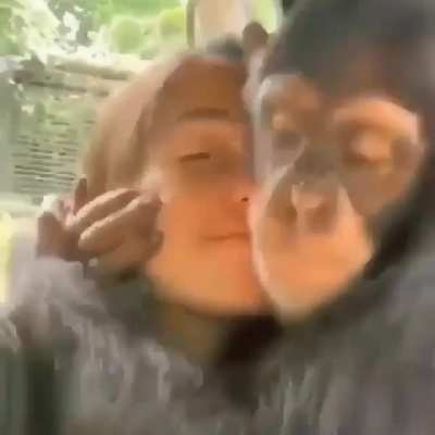 El mauu y su novia