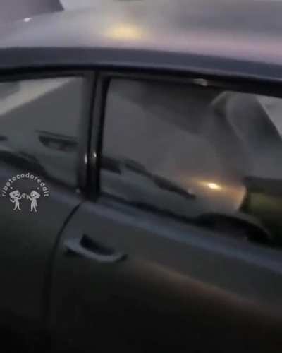 Al&ocirc; r/carros 