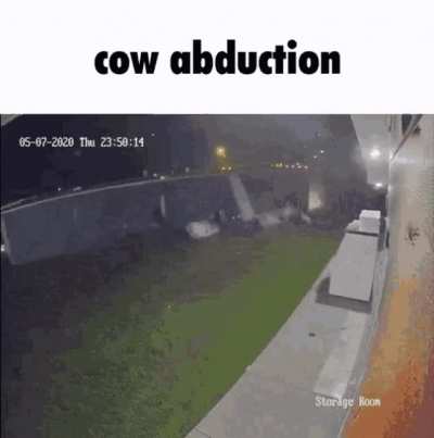 blursed_abduction