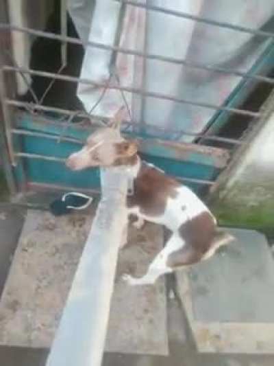 ENCARA AGORA! 😡