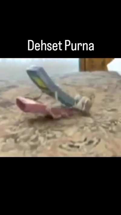 Dehşet Purna