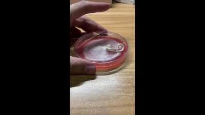 [general] sproink!