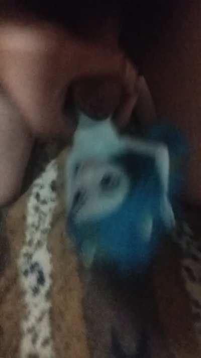 Rainbow Dash Equestria Girls cum tribute