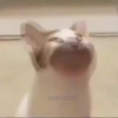 When you step on a Lego