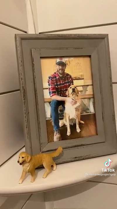 This dog&rsquo;s house