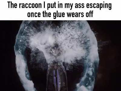 The racoon i put in my ass trying to escape once the glue wears off (the constant wrigling motion is stimulating my prostate)