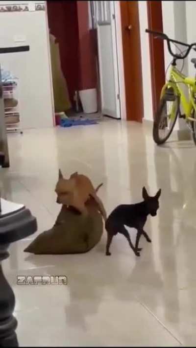 to get satisfaction