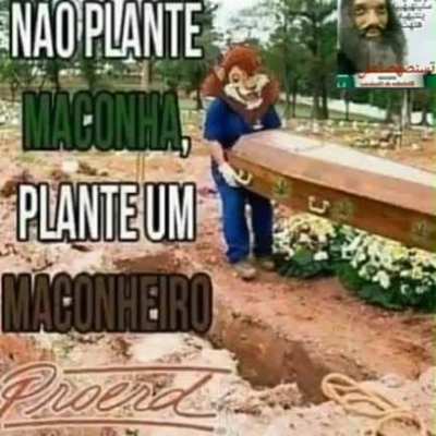 A&iacute; vai nasce mais maconha do pulm&atilde;o dele ent&atilde;o se voc&ecirc; plantar um maconheiro vai plantar maconha junto