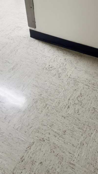 Hallway titty flashing