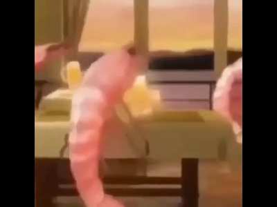 i love shrimps