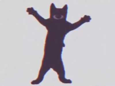 мысық