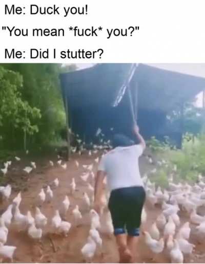 My duck army bout to fuck you up