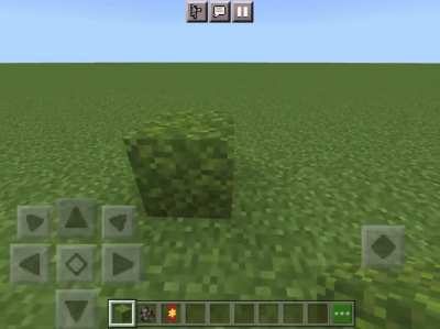 moss