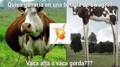 Quien ganar&iacute;a una batalla de swag?