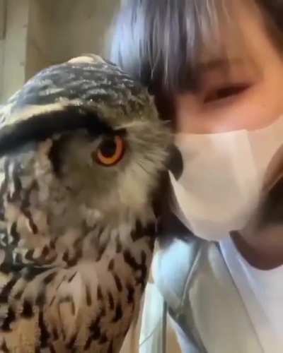&ldquo;They don&rsquo;t wanna see your ugly face, Helen&rdquo;