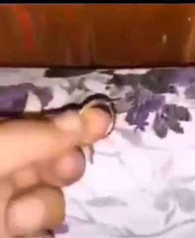 stone