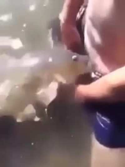 Fish Sucky Sucky