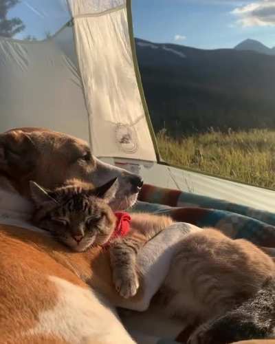 There is only one word to describe this feeling: perfection.