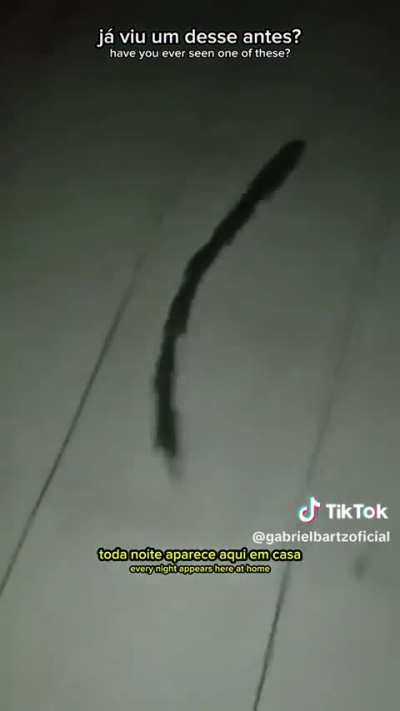 Algum bi&oacute;logo pode falar o nome dessa entidade?
